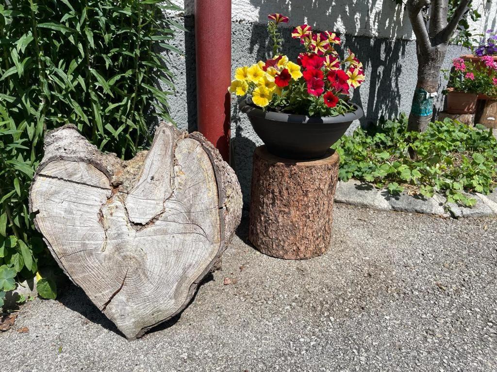 Neudegghof Appartement Eben Im Pongau Buitenkant foto