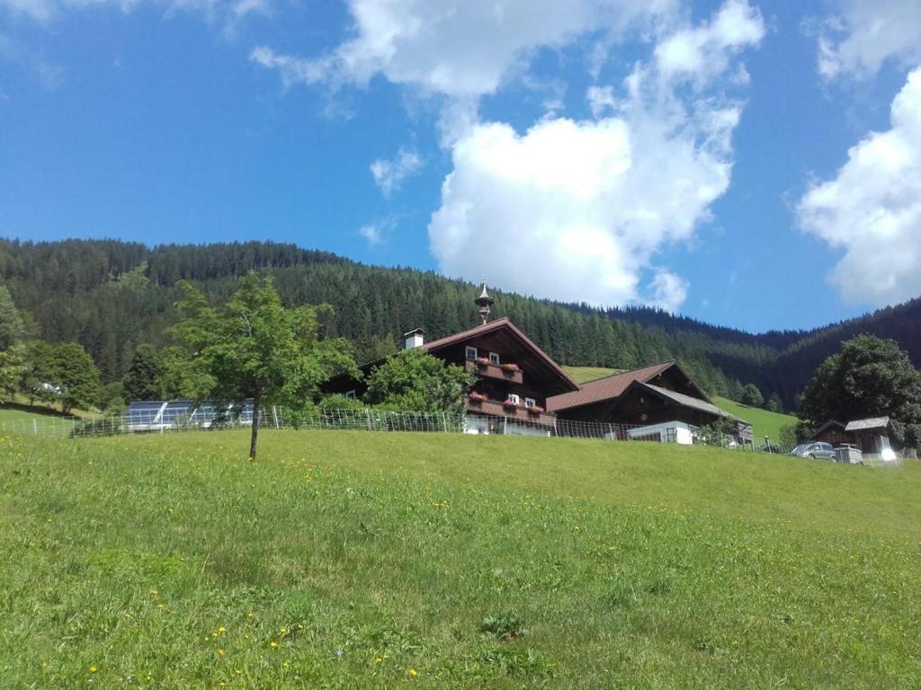 Neudegghof Appartement Eben Im Pongau Buitenkant foto